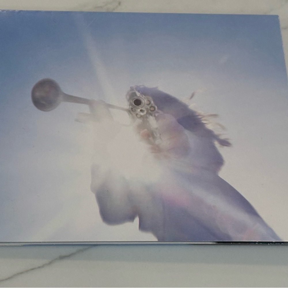 Geese - Getting Killed CD